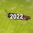 FLY4WASTE Evaluation des benefices et risques de l'entomoconversion © INRAE