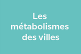 BTN-les-metabolismes
